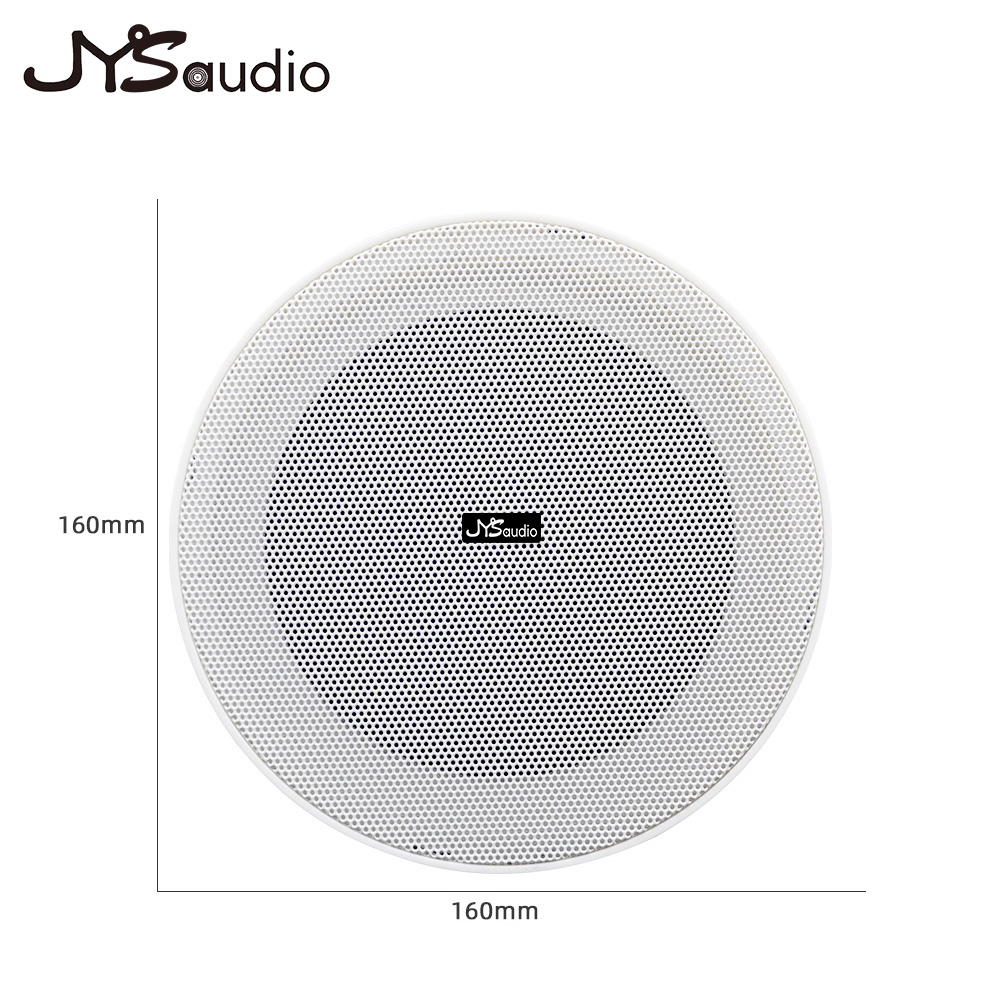 مكبر صوت بدون إطار للسقف 10 وا - مراجعة Smart Home Speaker وسعره