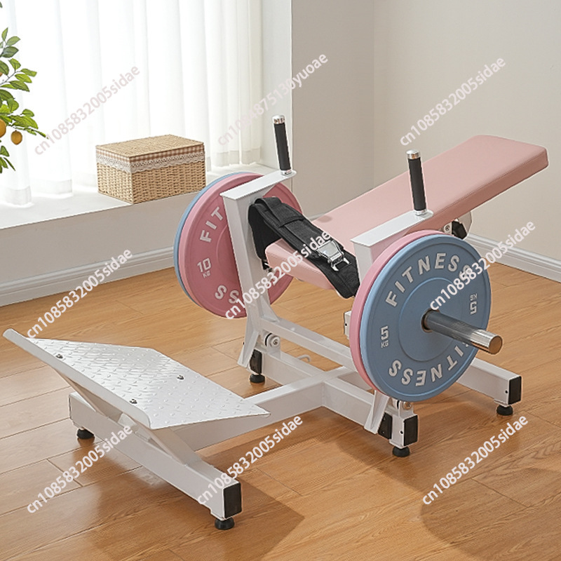 جهاز تدريب الأرداف للنساء، آلة - مراجعة Smart Home Gym وسعره